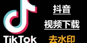 TikTok去水印教程：让你的视频更干净、更专业